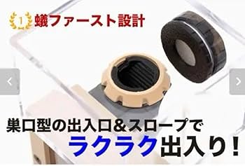 Amazon.co.jp: Ant case NEXST アリ飼育用ケース コンパクト